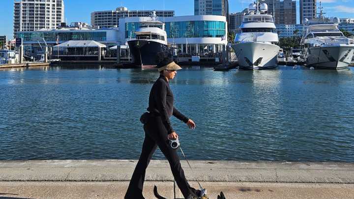 How cold will Sarasota get this weekend?