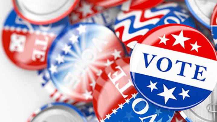 Troy voters decide council, bond issue