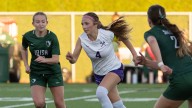 Which area soccer teams are still alive in the state playoffs?