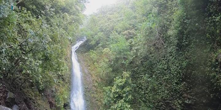Hiker impaled by large tree branch on Oahu trail