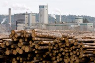 West Fraser Timber shutters mill in 100 Mile House, B.C., affecting 165 jobs
