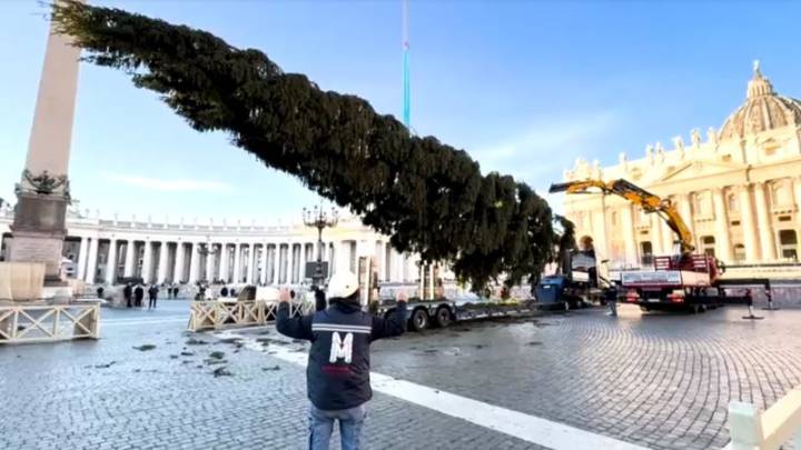 El Vaticano inicia los preparativos para las fiestas con su árbol navideño