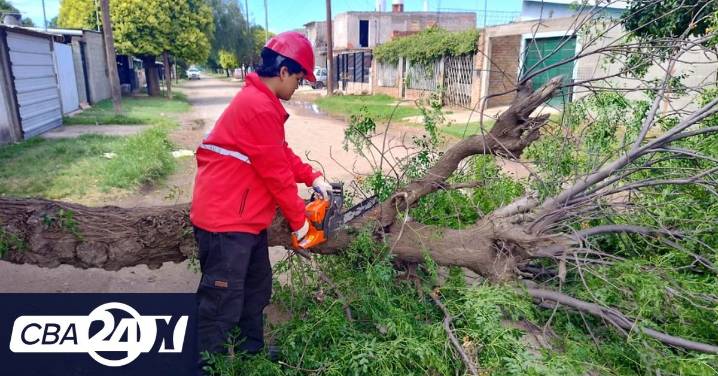 Tormenta: casi veinte árboles caídos y 23 milímetros en la ciudad de Córdoba