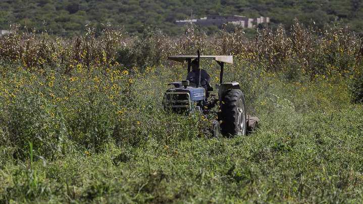 Gobierno federal busca frenar bloqueos anunciados por productores y transportistas