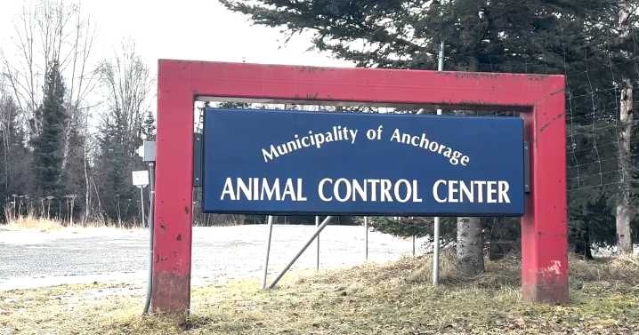Anchorage shelter seeks dry cat food donations to help local pet owners