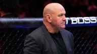 Danis banned from UFC after crowd brawl at MSG, White says