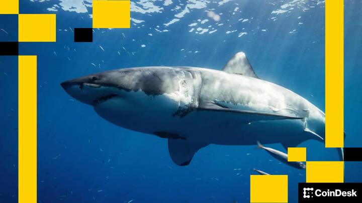 Ethereum Is Like a Shark. If It Stops Moving, It Will Die