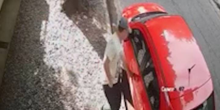 Secuestraron y abusaron de una mujer en el Parque Pereyra Iraola: detuvieron a un policía como principal sospechoso