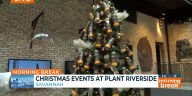 Businesses and organizations compete in Festival of Trees at Plant Riverside District