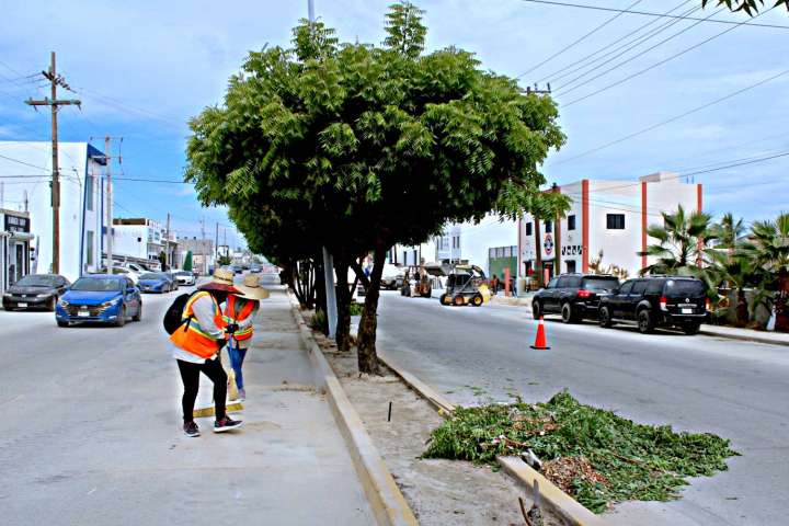 Renovaron 2.4 km del bulevar Ernesto Chánez en Los Cabos; retiraron 70 toneladas de desechos