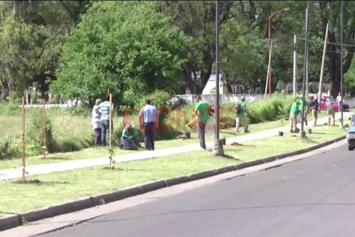 El municipio y estudiantes plantaron 55 árboles nativos en un barrio de Paraná