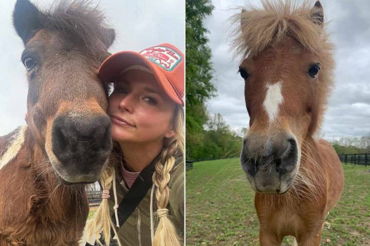 Miranda Lambert Announces 2 of Her Miniature Horses Died on the Same Day