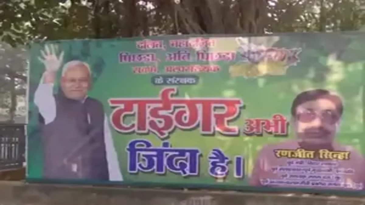 'Tiger Abhi Zinda Hai': Posters Featuring Nitish Kumar Surface Day Before Bihar Polls