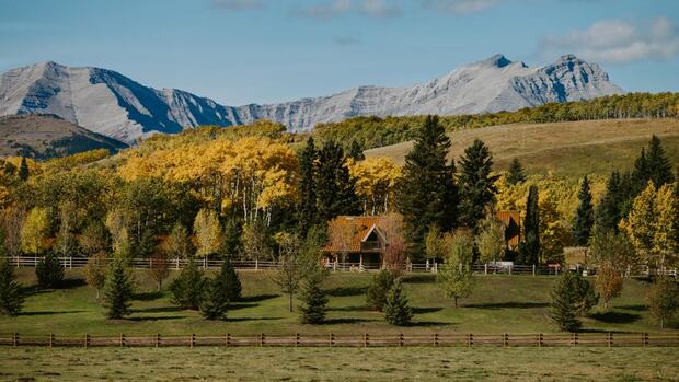 Historic Stampede Ranch once owned by Guy Weadick facing receivership application hearing