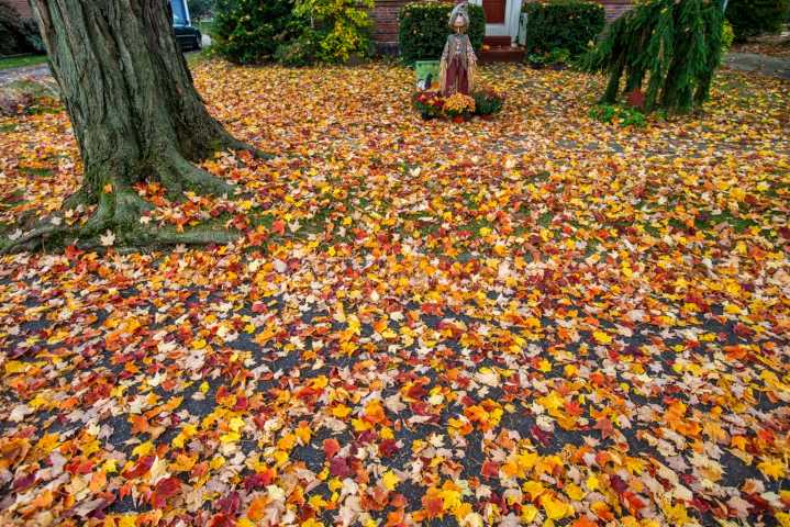 Central Pa.’s weekend forecast promises mix of rain and sunshine