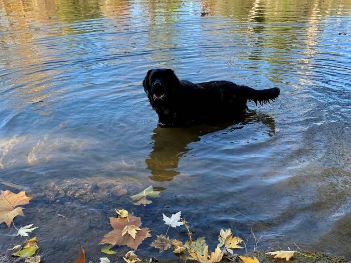 PHOTOS: Londoner's weekly moment in time - 2025 | The Stratford Beacon Herald