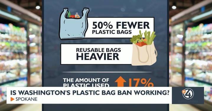 Washington’s Plastic Bag Ban: Environmental Wins or Missed Targets?