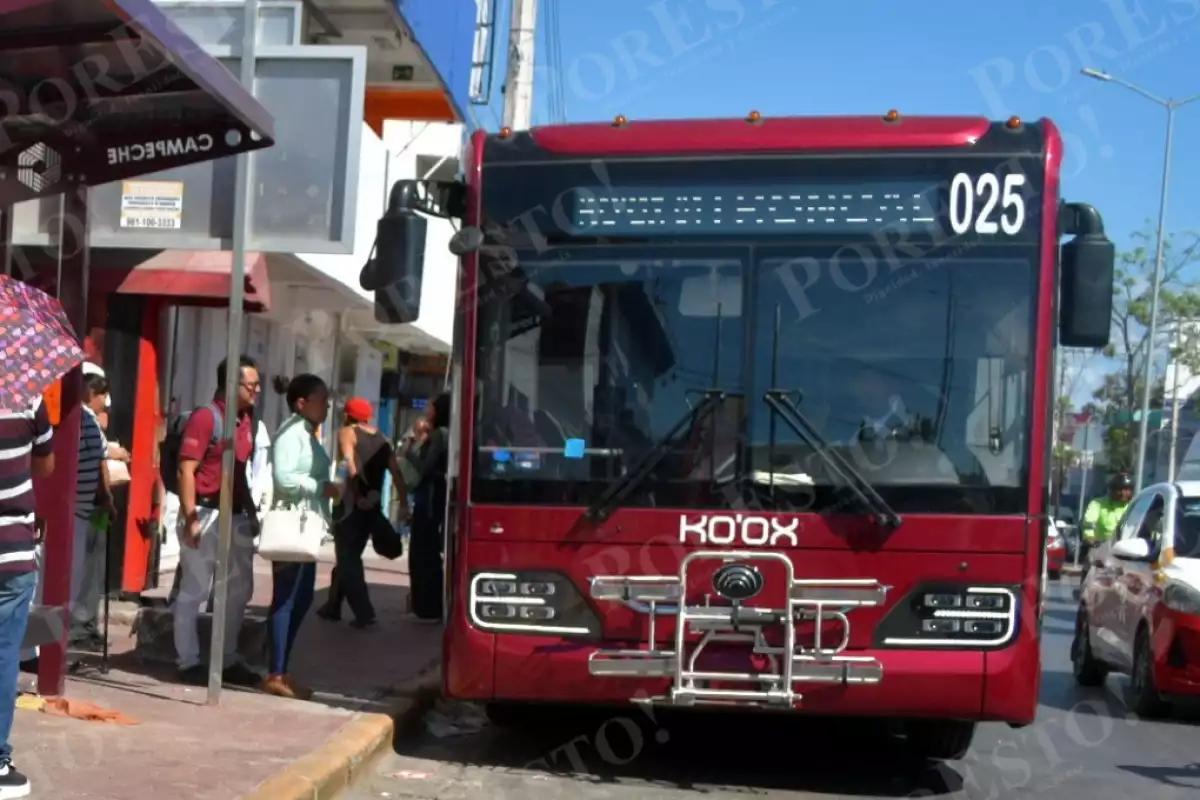 Ko’ox divide opiniones en Campeche: ciudadanos piden antiguas rutas y autoridades defienden la modernización
