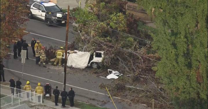 1 driver killed after large tree falls onto car in Winnetka