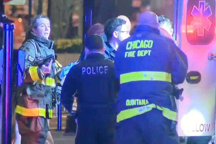 Woman Is Lit on Fire on Chicago Train After Argument Escalates, Person of Interest in Custody