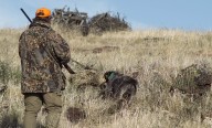 Las semifinales del Campeonato de España de Caza Menor con Perro se disputarán en la provincia de Cuenca