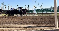 ‘Back to its glory days’: Turf Paradise begins 70th season with new vision, renewed hope