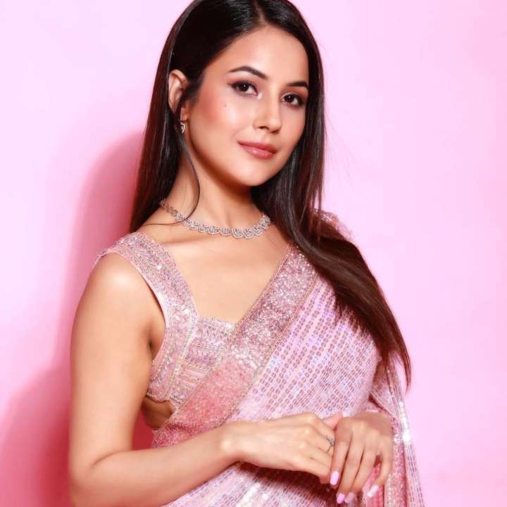 Shehnaaz Gill: Don’t want to get married, but I’ll never say never