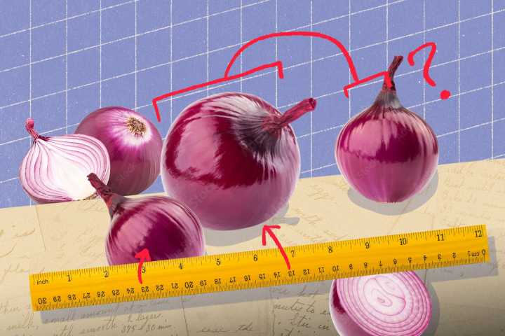 Easy fall recipes with onions: How to know which size to use.