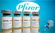 Pfizer Q2 net profit rises 19% YoY; strong growth in sales and margins