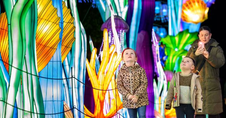 Edinburgh Zoo's winter light trail returns 'bigger and brighter than ever' after six years
