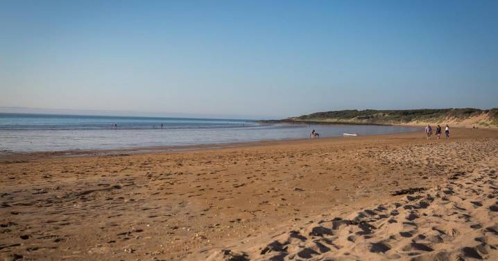 Why a trip to East Lothian was the perfect dog