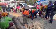 Trabajador de CDMX cae 8 metros de un árbol y tronco le fractura dos piernas en la Narvarte