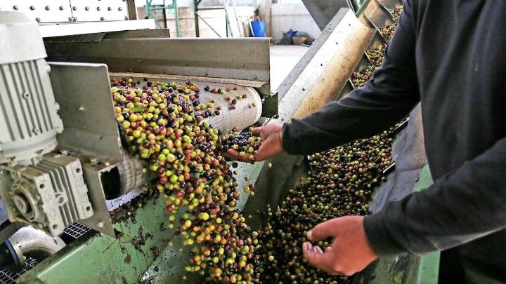 Castilla-La Mancha suma siete nuevas cooperativas al sello Producto Cooperativo