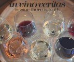 Pinnacle Ridge Winery 2025: New Souderton location now serving customers