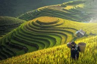 Deslúmbrate con la belleza de Sapa en Vietnam