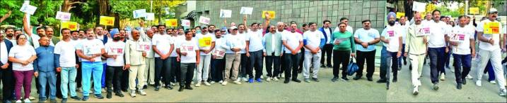 National Vascular Day Walkathon organized