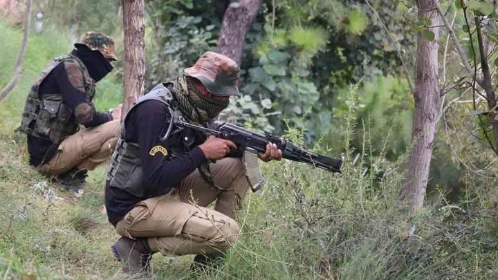 Seven more Maoists killed in Maredumilli forests; police ask surviving cadres to surrender