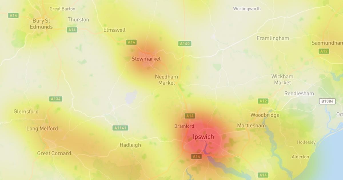 Japanese knotweed thriving in Suffolk due to wet weather