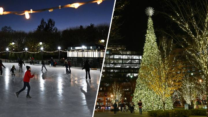 List: What to do in Thanksgiving week in the Washington DC area