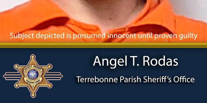Louisiana man re-arrested on 392 counts of child pornography and 2 counts of sexual abuse of an animal