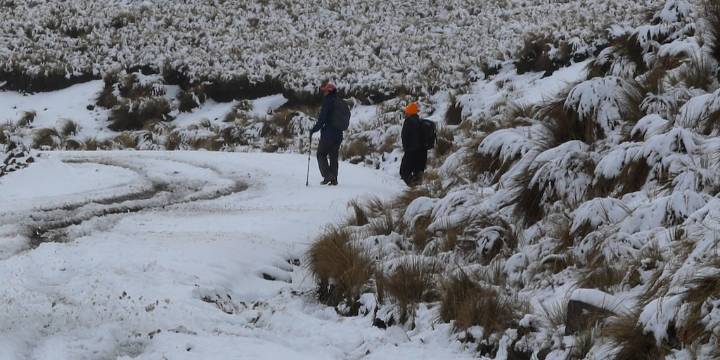 Primera tormenta invernal afecta estados del Norte y temperaturas de -5 °C a cuatro entidades más del centro del país
