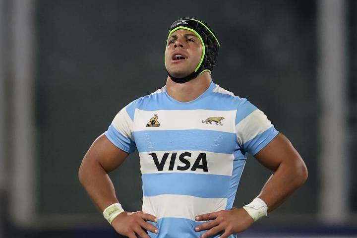 En qué canal pasan los Pumas vs. Gales por un test match internacional hoy