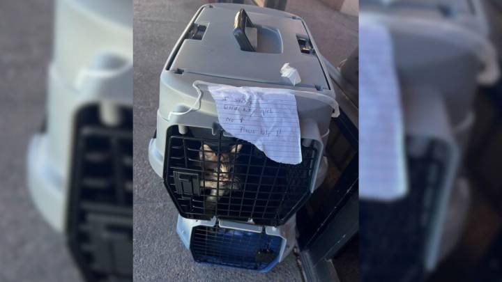 Nevada Woman Acts Quickly To Help Tiny Family Left In The Sun With A Devastating Note