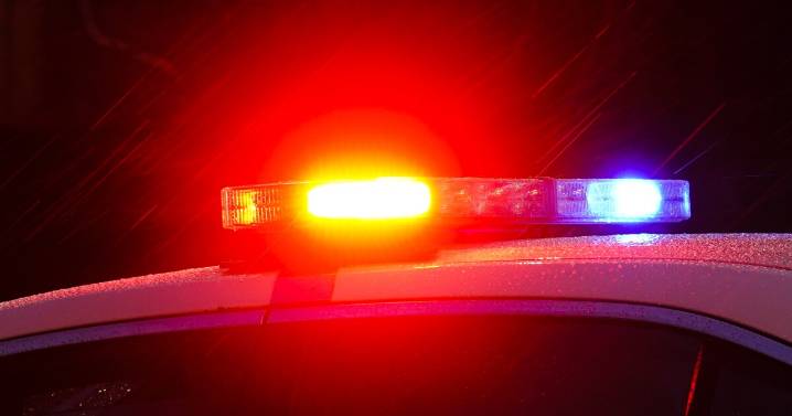 Teen dies after being hit by vehicle in Frenchtown Township, deputies say