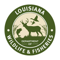 DeRidder man drowns while duck hunting