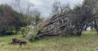 Lightning strike catches tree, mattress pile on fire in Waco during storm