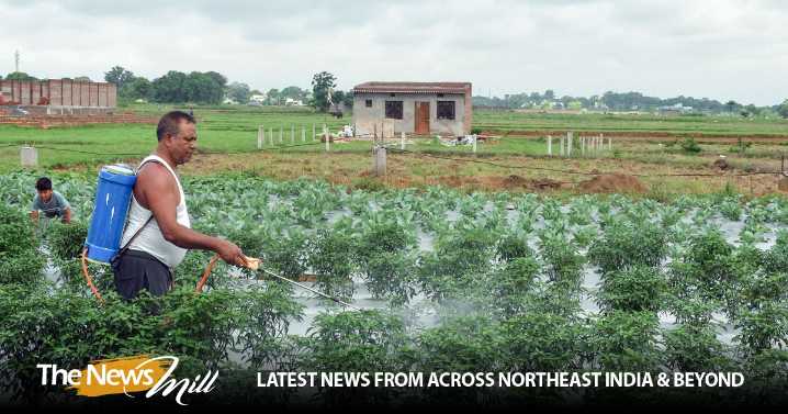 Department of Fertilizers coordinated major crackdown on black marketing, hoarding