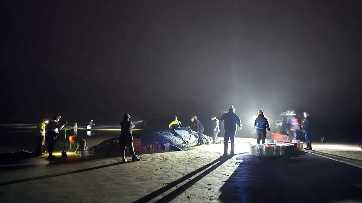 Stranded whale near Yachats; officials urge public to not assist