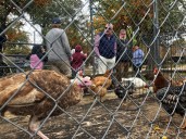 Midtown church holds annual fundraiser for Haiti