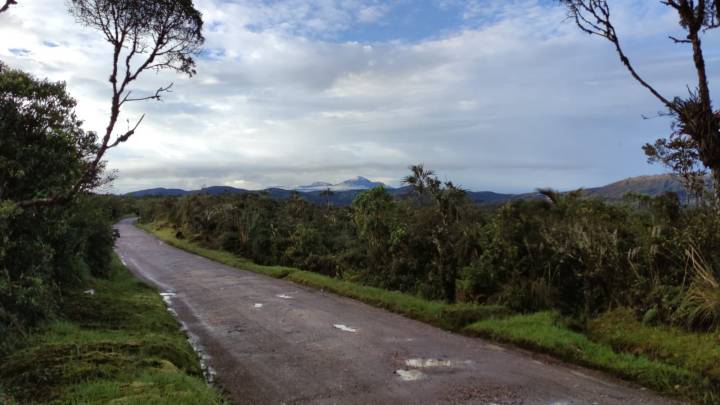 Luz verde ambiental para pavimentar 30 km del Corredor del Paletará